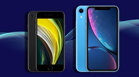 iPhone SE مقابل iPhone XR: أوجه الاختلاف والتشابه